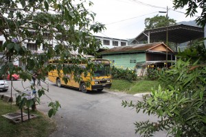 Boh tea plantation 2