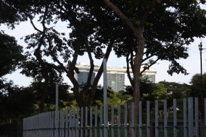 IMG_8967